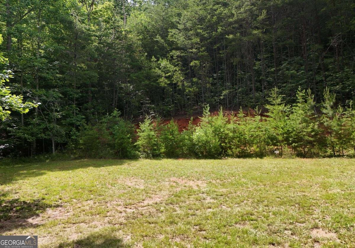 34 Summerhill Lane Blairsville - Photo 16
