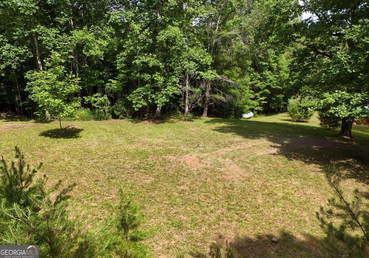 34 Summerhill Lane Blairsville - Photo 18