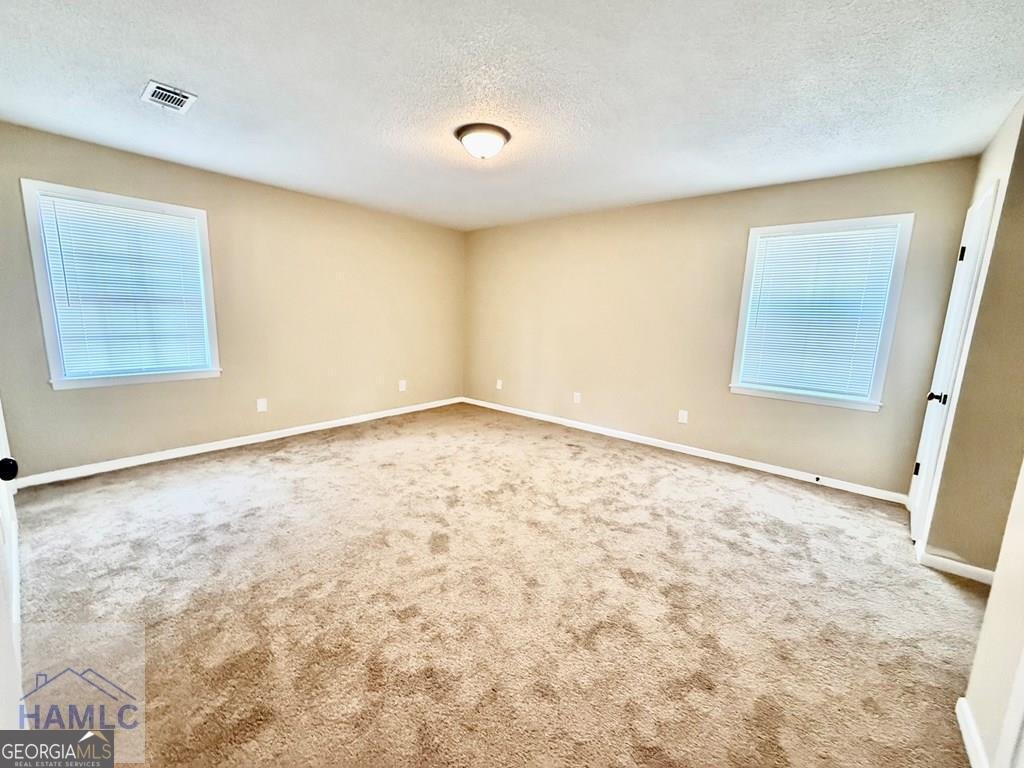 30 Buck Circle Hinesville - Photo 12