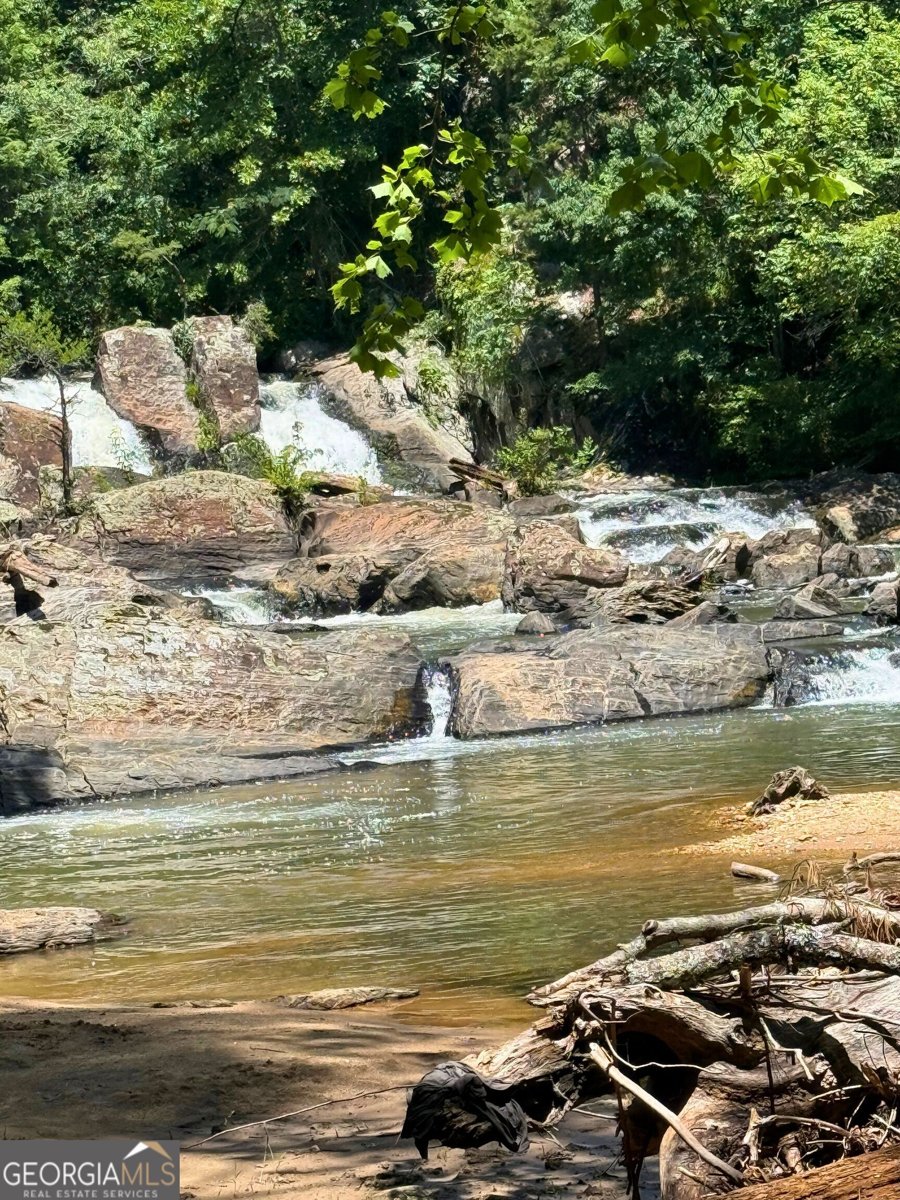 615 Lewis Grindle Road Dahlonega - Photo 66