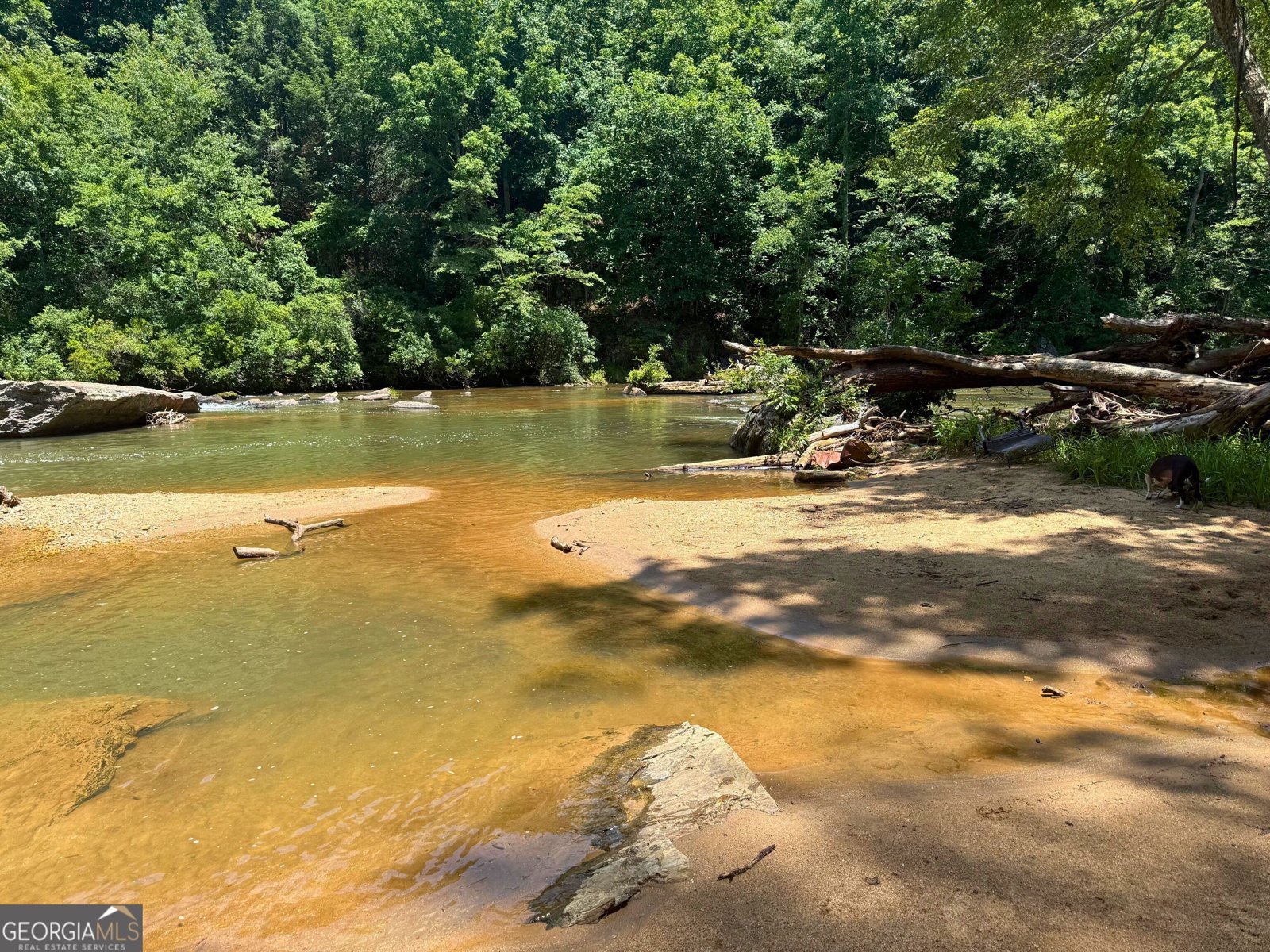 615 Lewis Grindle Road Dahlonega - Photo 67