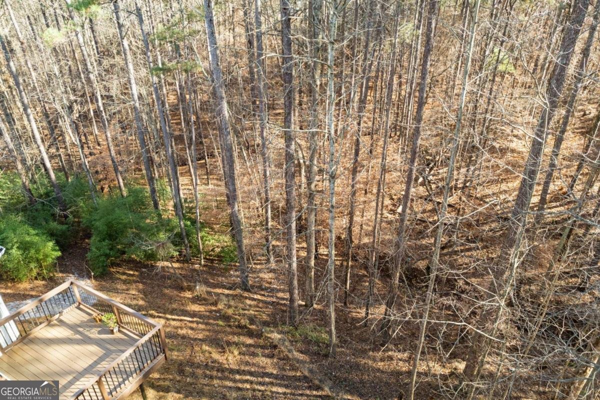 402 Eileen Circle Canton - Photo 37
