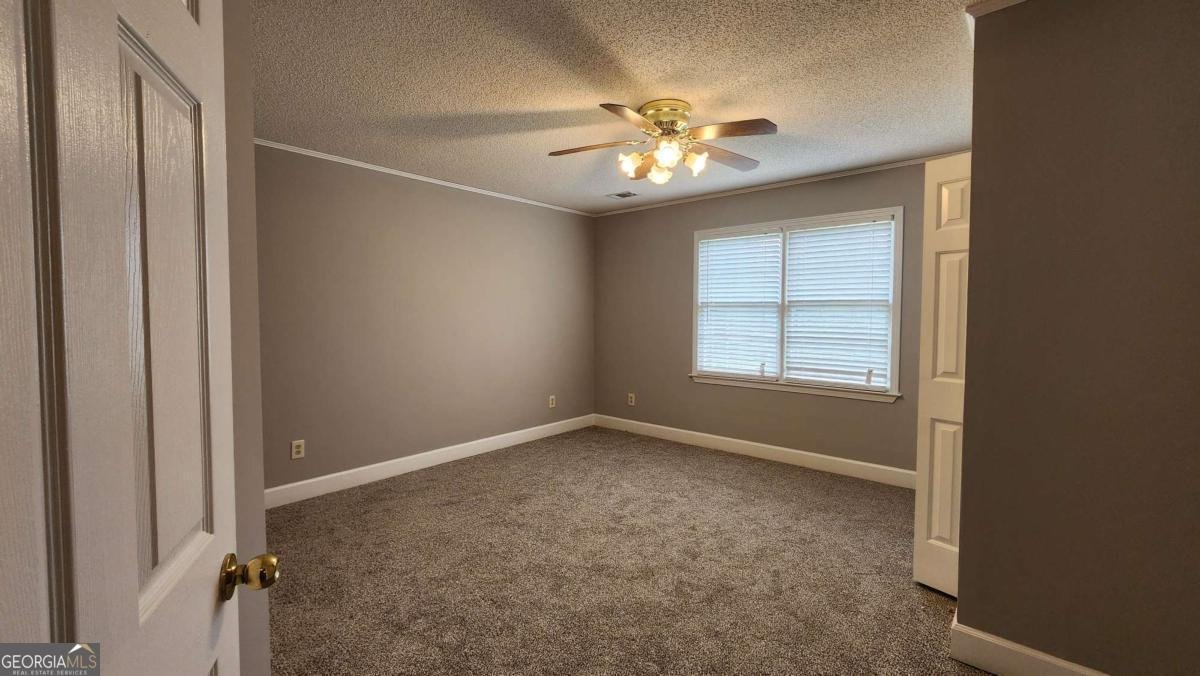 390 Lake Ridge Court McDonough - Photo 18