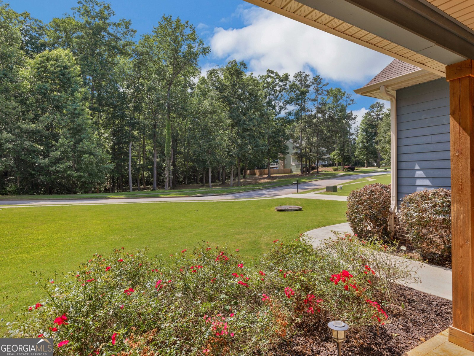 146 Aubree Way McDonough - Photo 73
