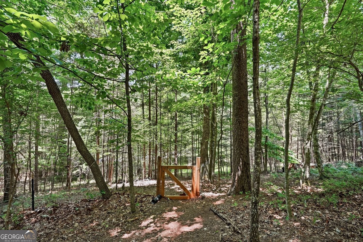 38 Wood Poppy Court Jasper - Photo 51