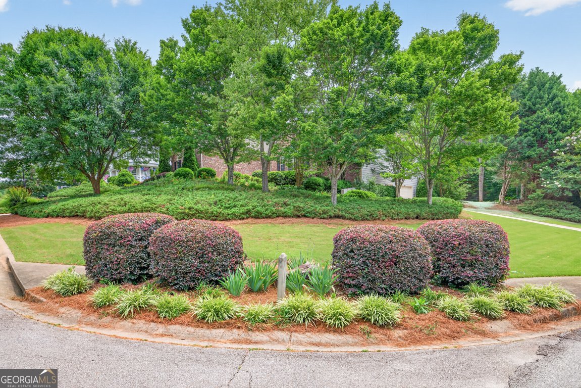 28 Montvale Drive Hoschton - Photo 48