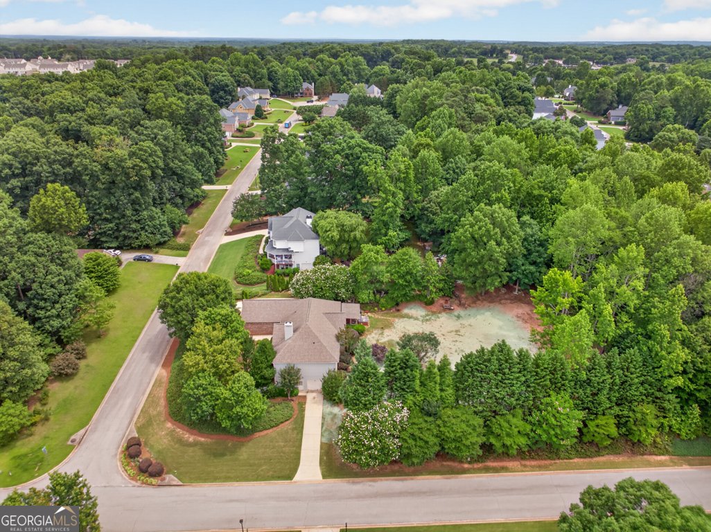 28 Montvale Drive Hoschton - Photo 58