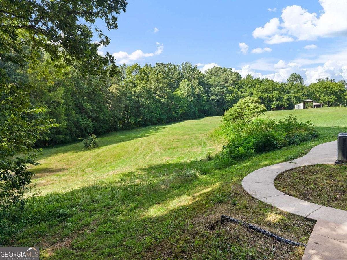134 Singletree Lane Dawsonville - Photo 51