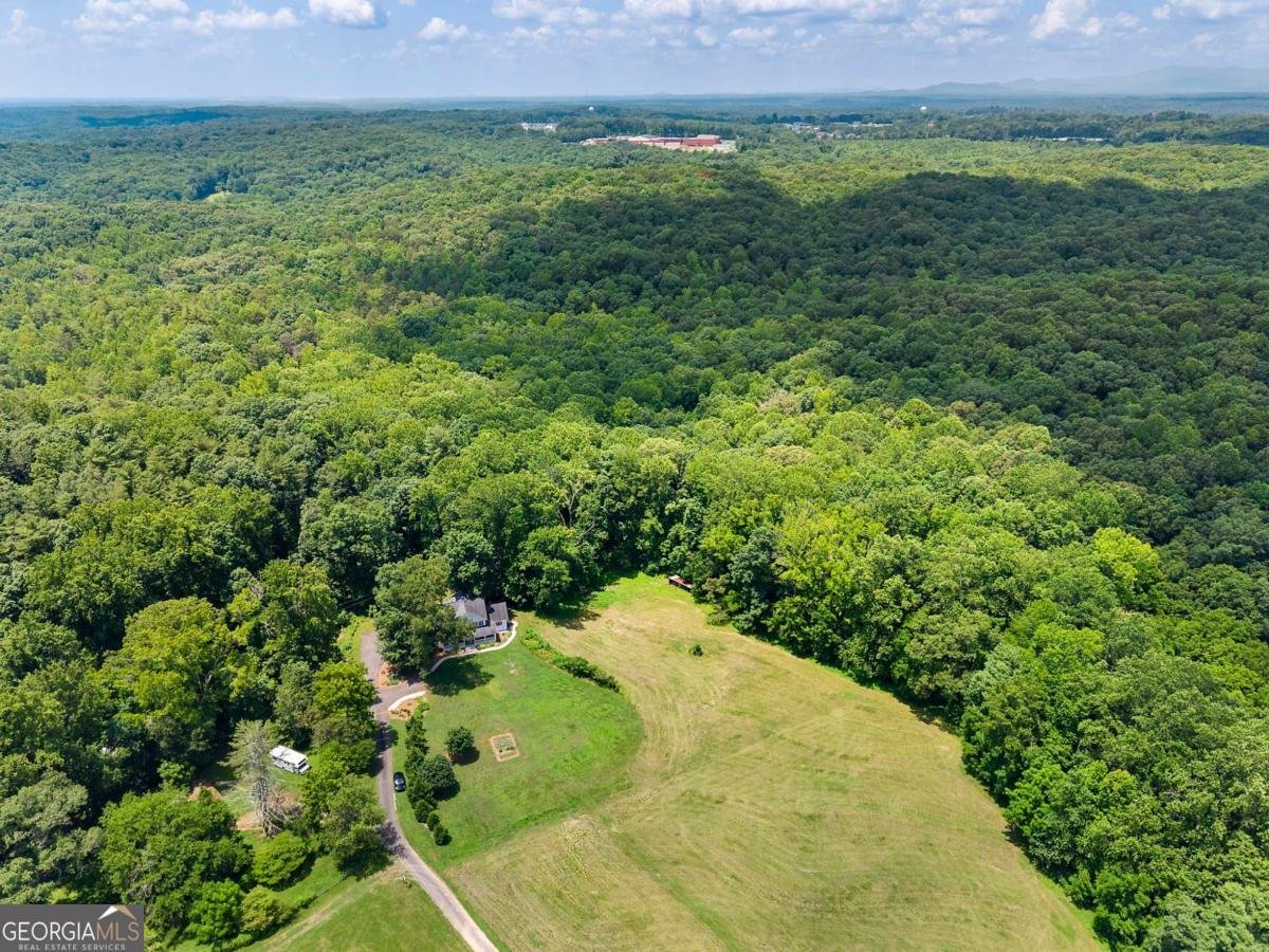 134 Singletree Lane Dawsonville - Photo 59