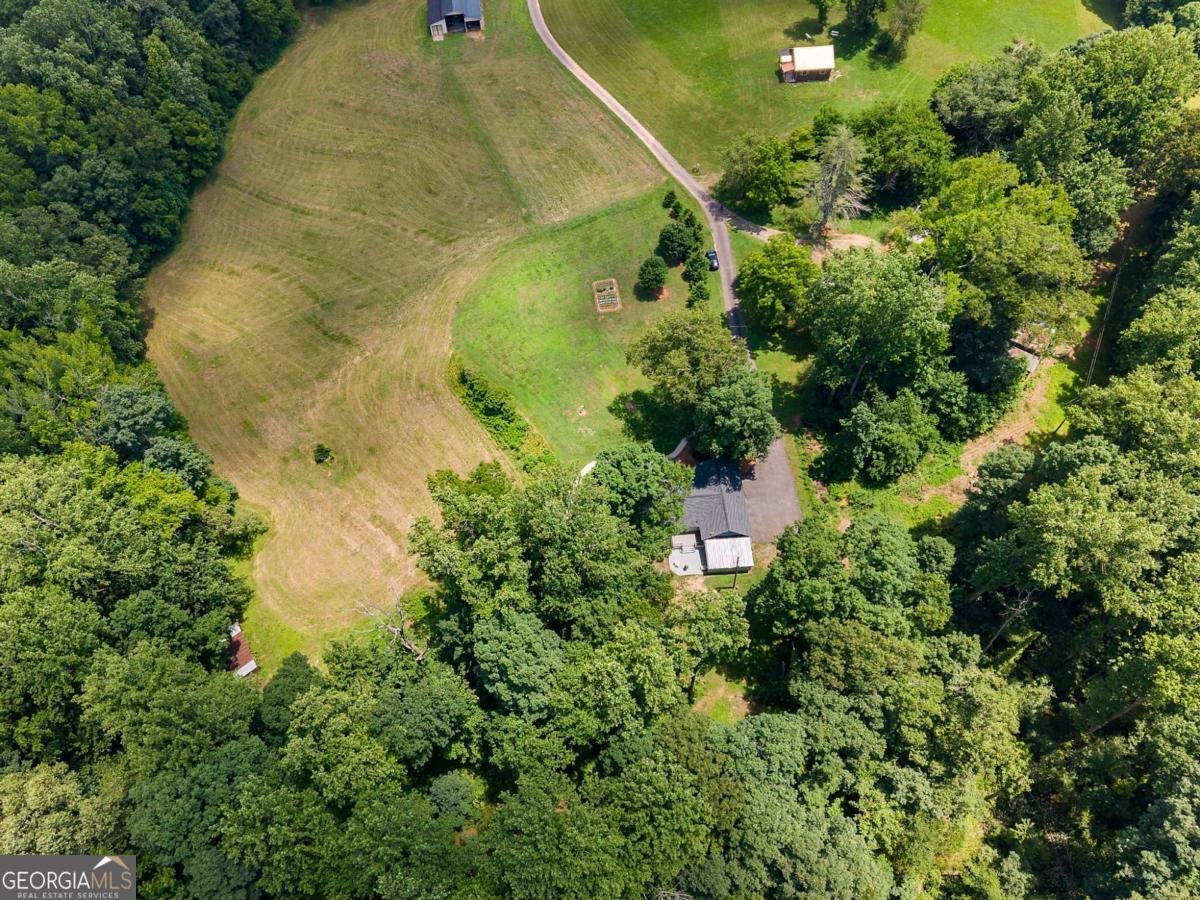 134 Singletree Lane Dawsonville - Photo 63