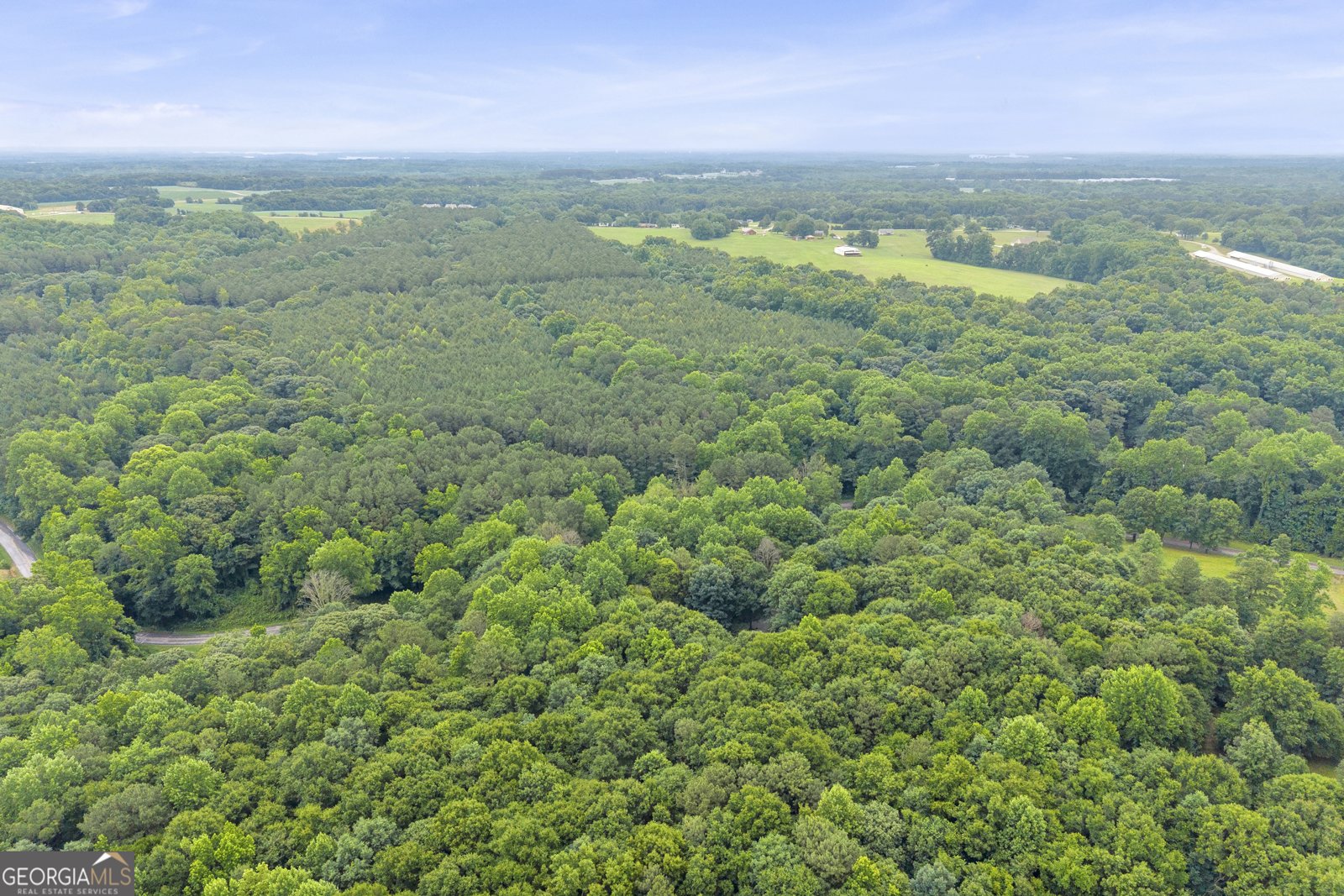 830 Carrie Craft Road Bowersville - Photo 38