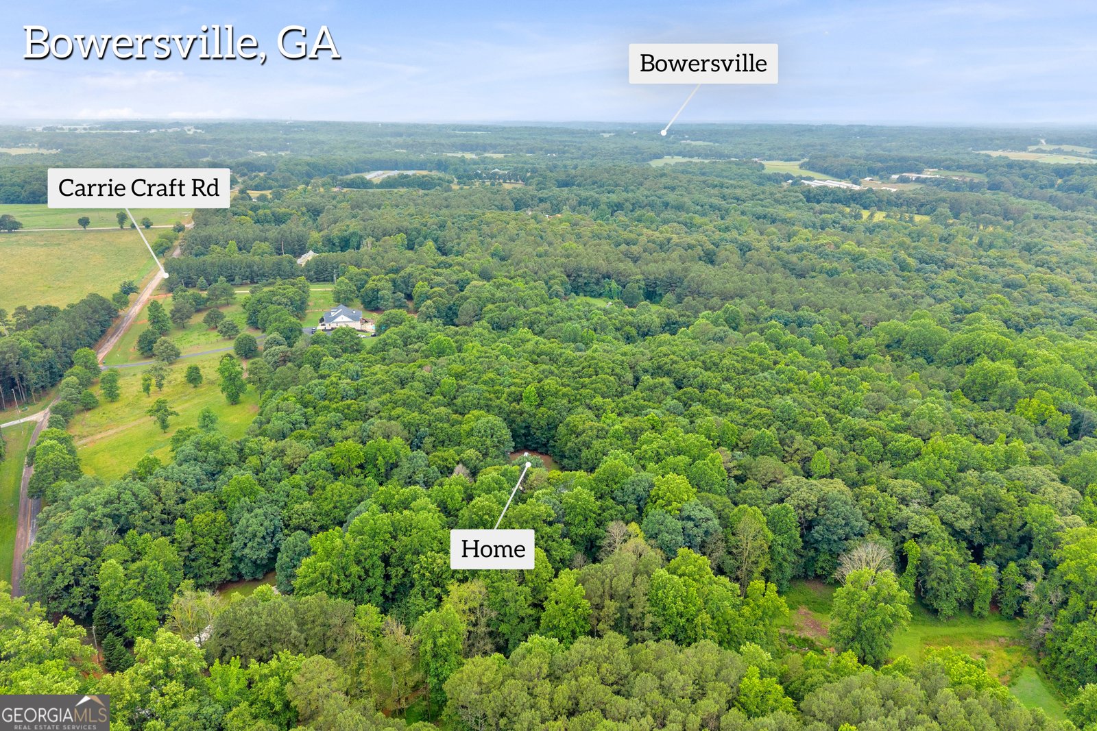 830 Carrie Craft Road Bowersville - Photo 40