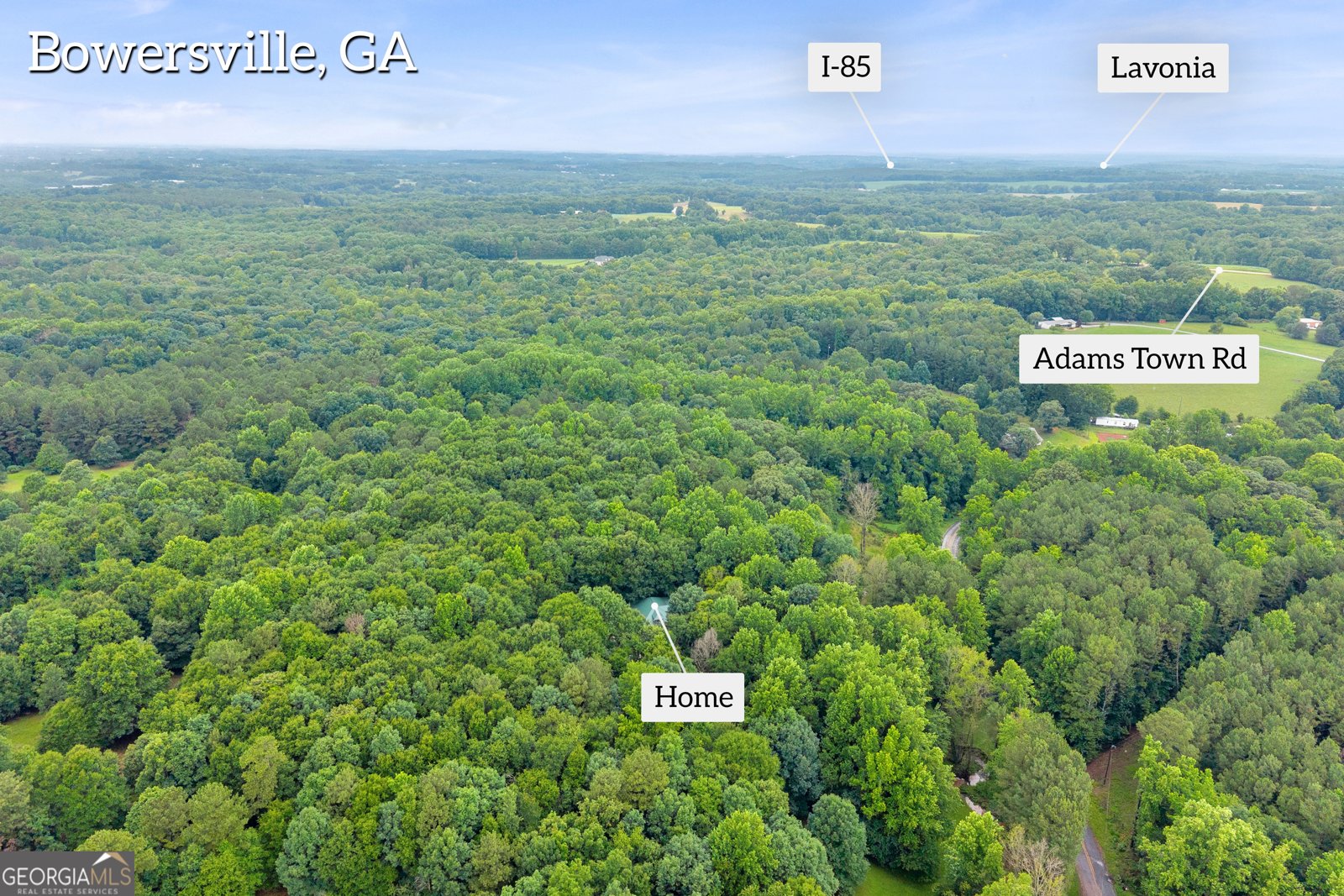 830 Carrie Craft Road Bowersville - Photo 41