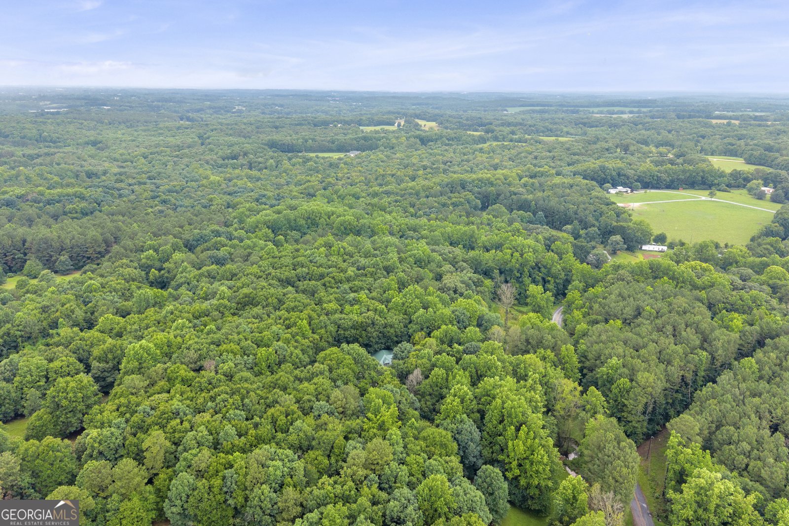 830 Carrie Craft Road Bowersville - Photo 42