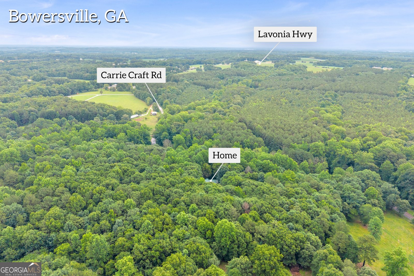 830 Carrie Craft Road Bowersville - Photo 43