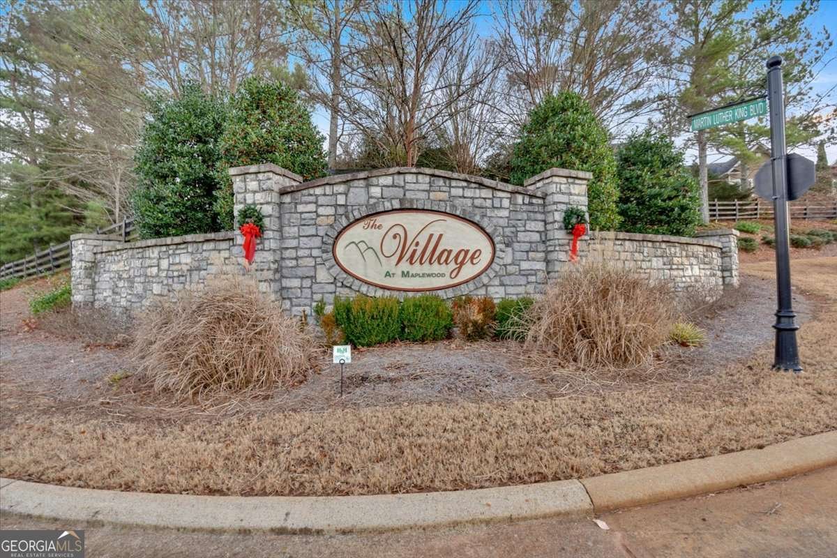 3309 Village Boulevard Rome - Photo 11