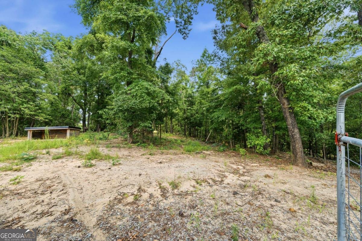 390 Dedrick Road Mcintyre - Photo 55