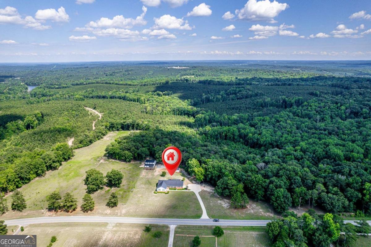 390 Dedrick Road Mcintyre - Photo 60