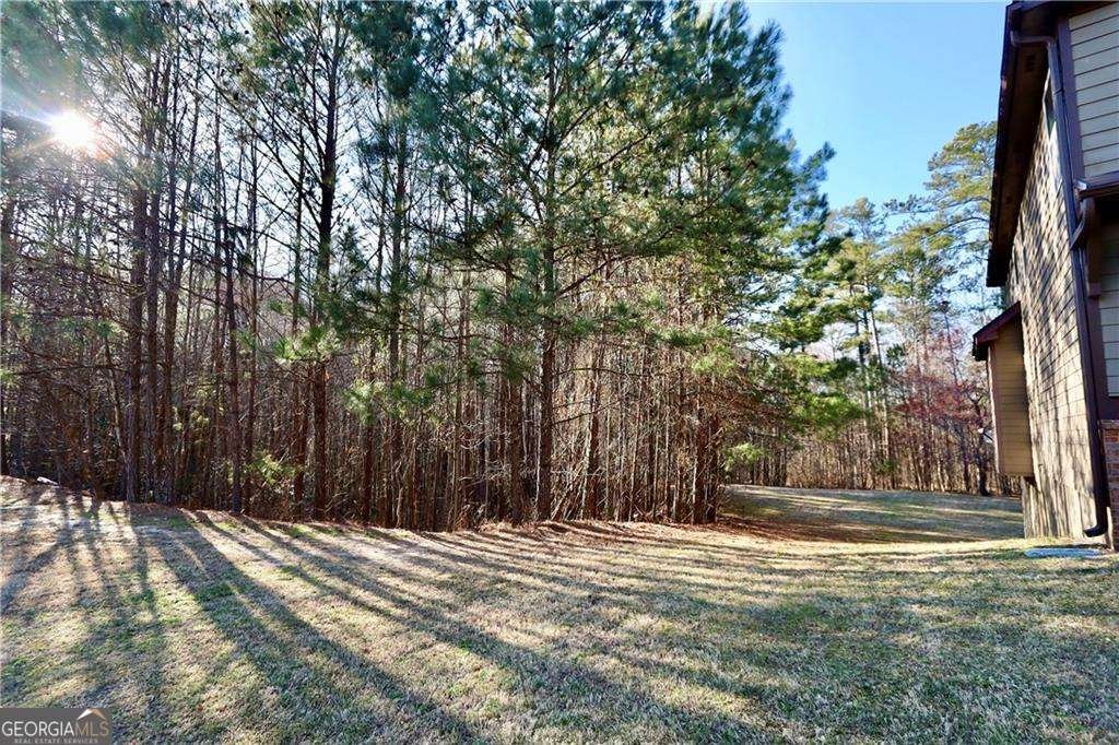 460 Chandler Bluff Court Grayson - Photo 27