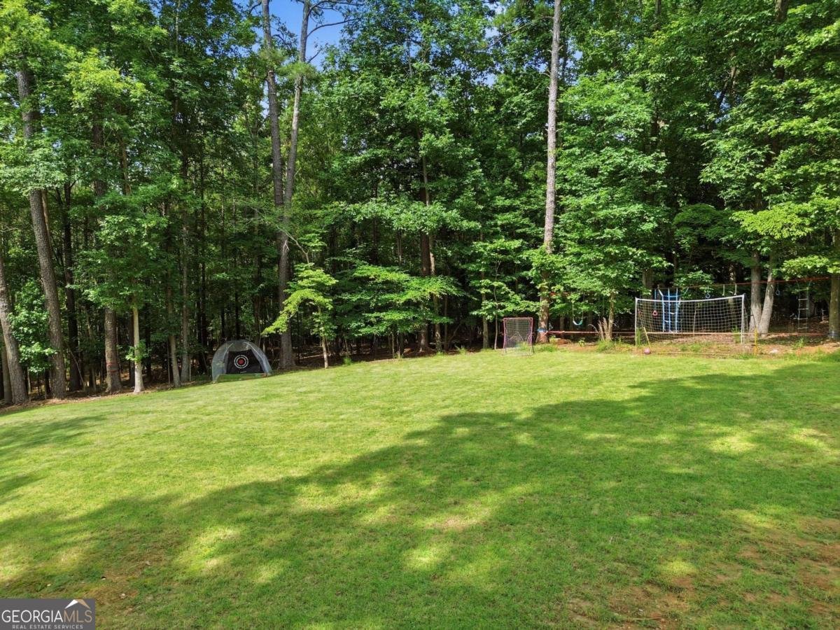 422 Lovingood Landing Drive Woodstock - Photo 57