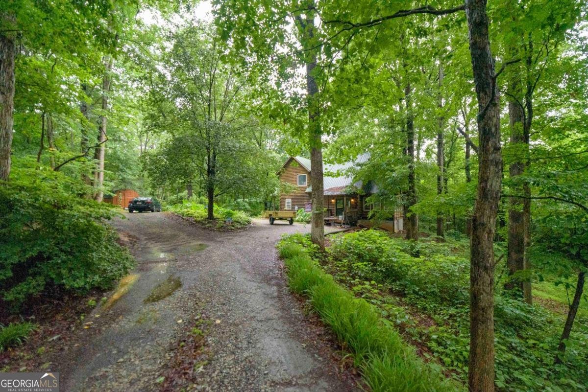4150 Davis Road Toccoa - Photo 29