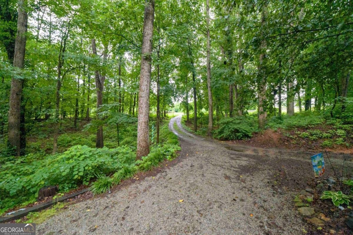 4150 Davis Road Toccoa - Photo 30