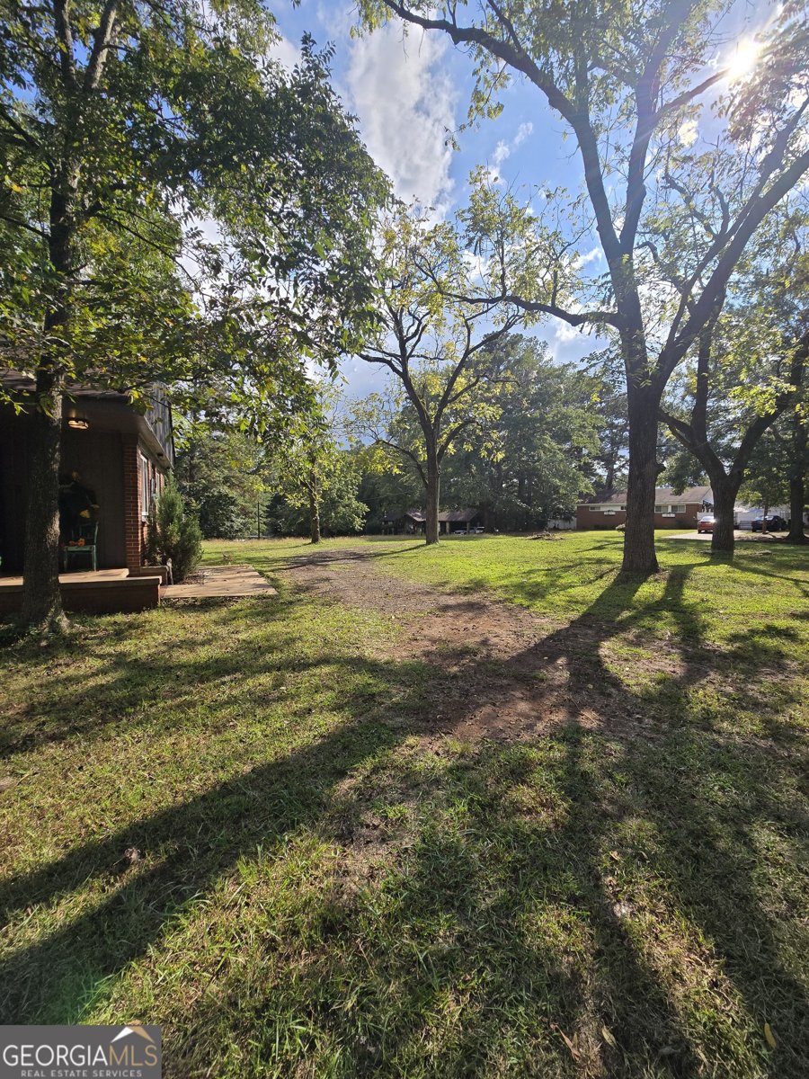 406 Pinelea Road Griffin - Photo 45