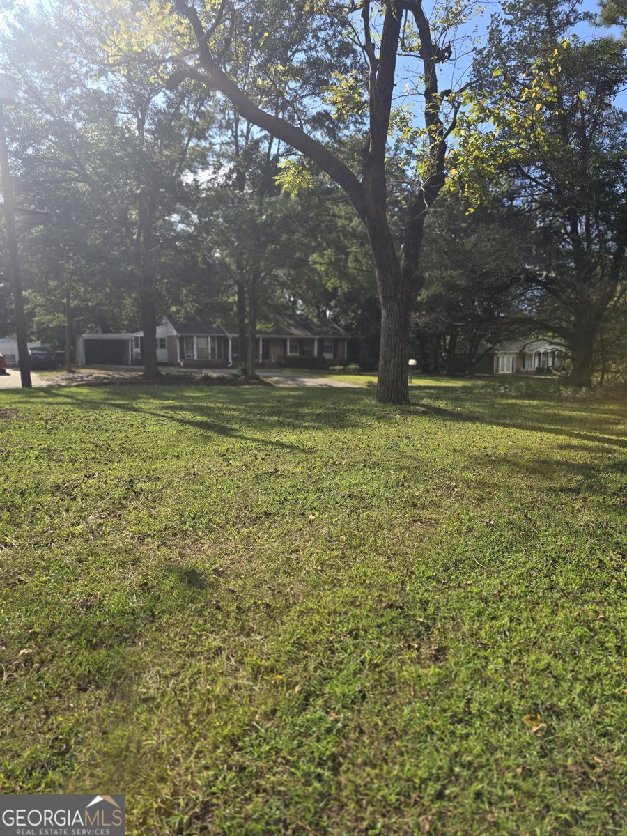 406 Pinelea Road Griffin - Photo 46