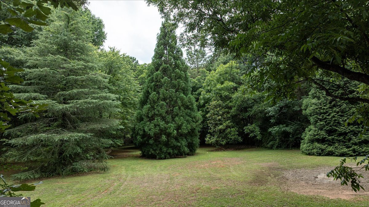 1030 Broadlands Drive Watkinsville - Photo 57
