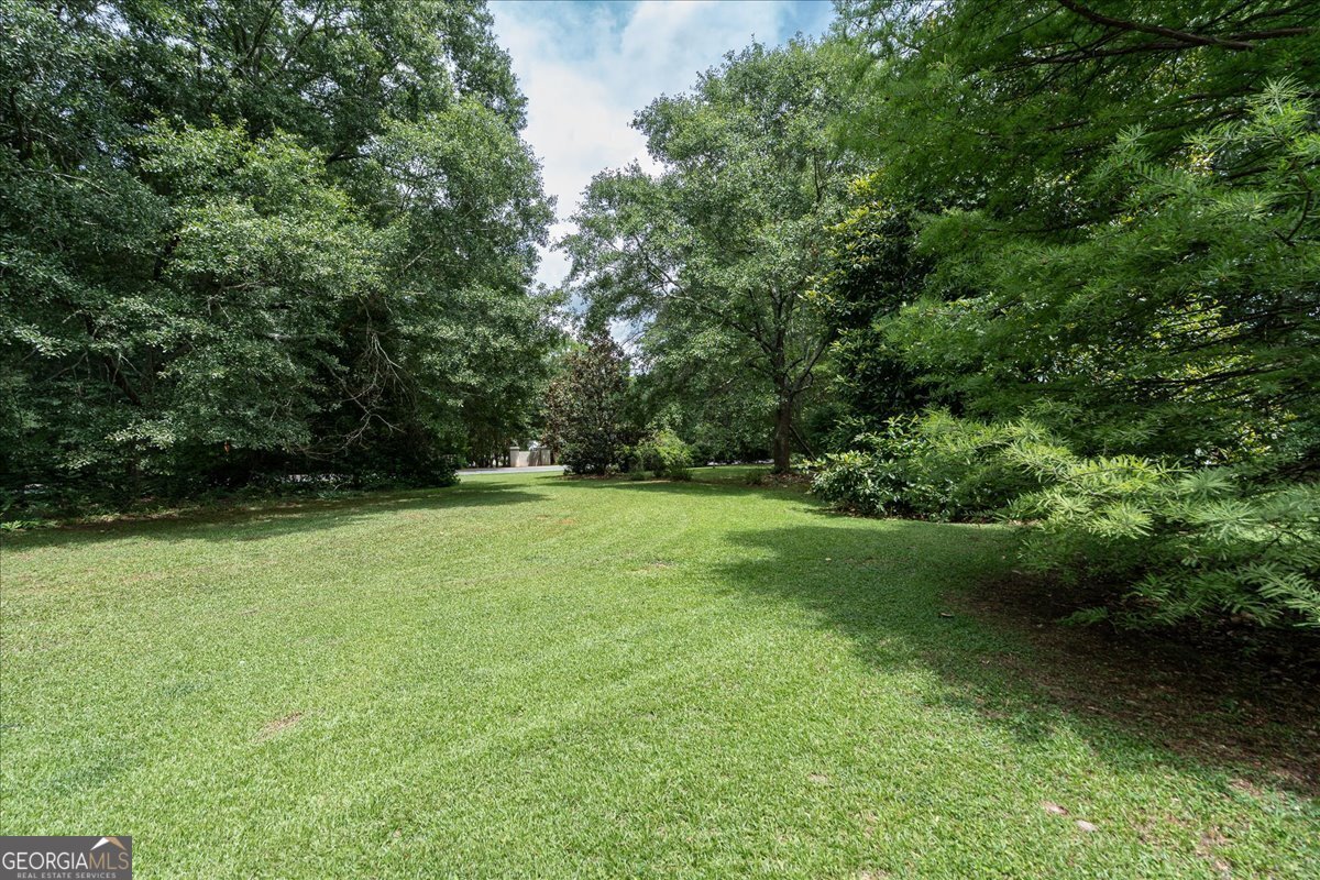 1030 Broadlands Drive Watkinsville - Photo 65