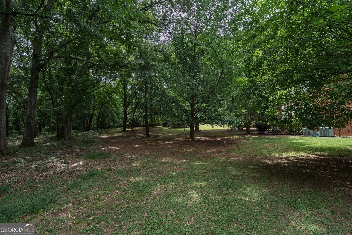 1030 Broadlands Drive Watkinsville - Photo 67