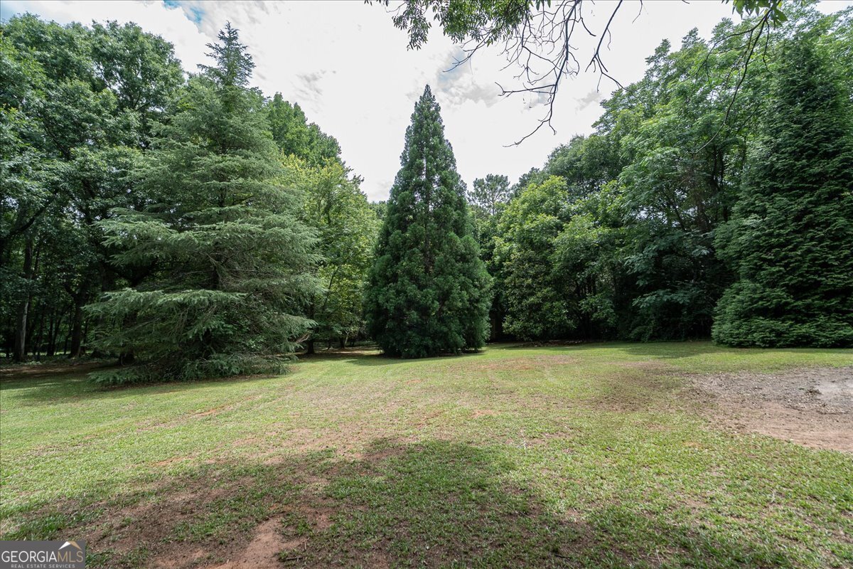1030 Broadlands Drive Watkinsville - Photo 71