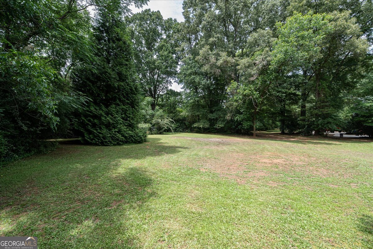 1030 Broadlands Drive Watkinsville - Photo 74