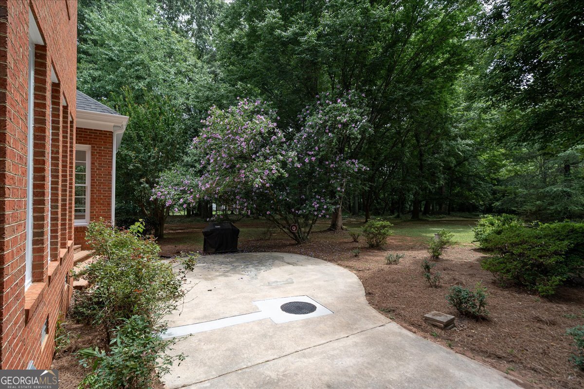1030 Broadlands Drive Watkinsville - Photo 75