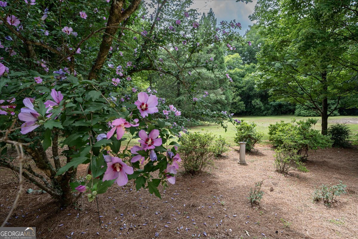 1030 Broadlands Drive Watkinsville - Photo 77