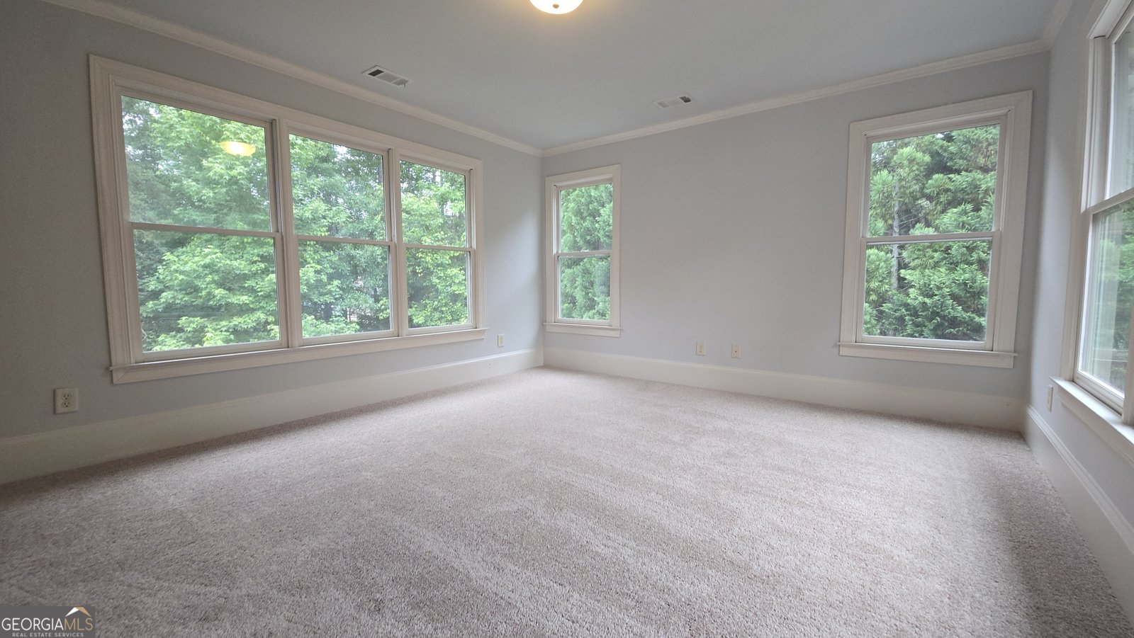 3540 Falls Branch Court Buford - Photo 66
