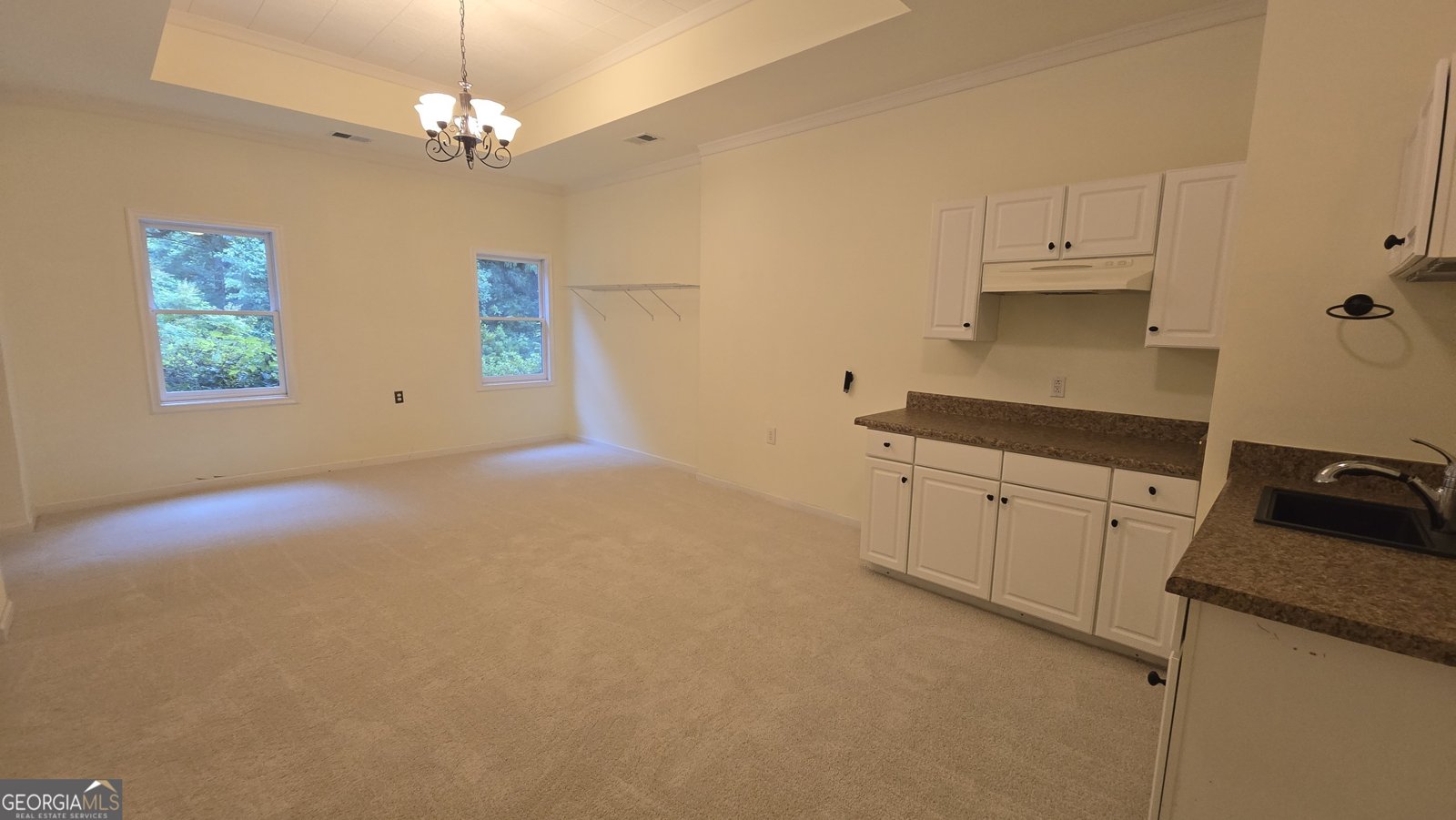 3540 Falls Branch Court Buford - Photo 77