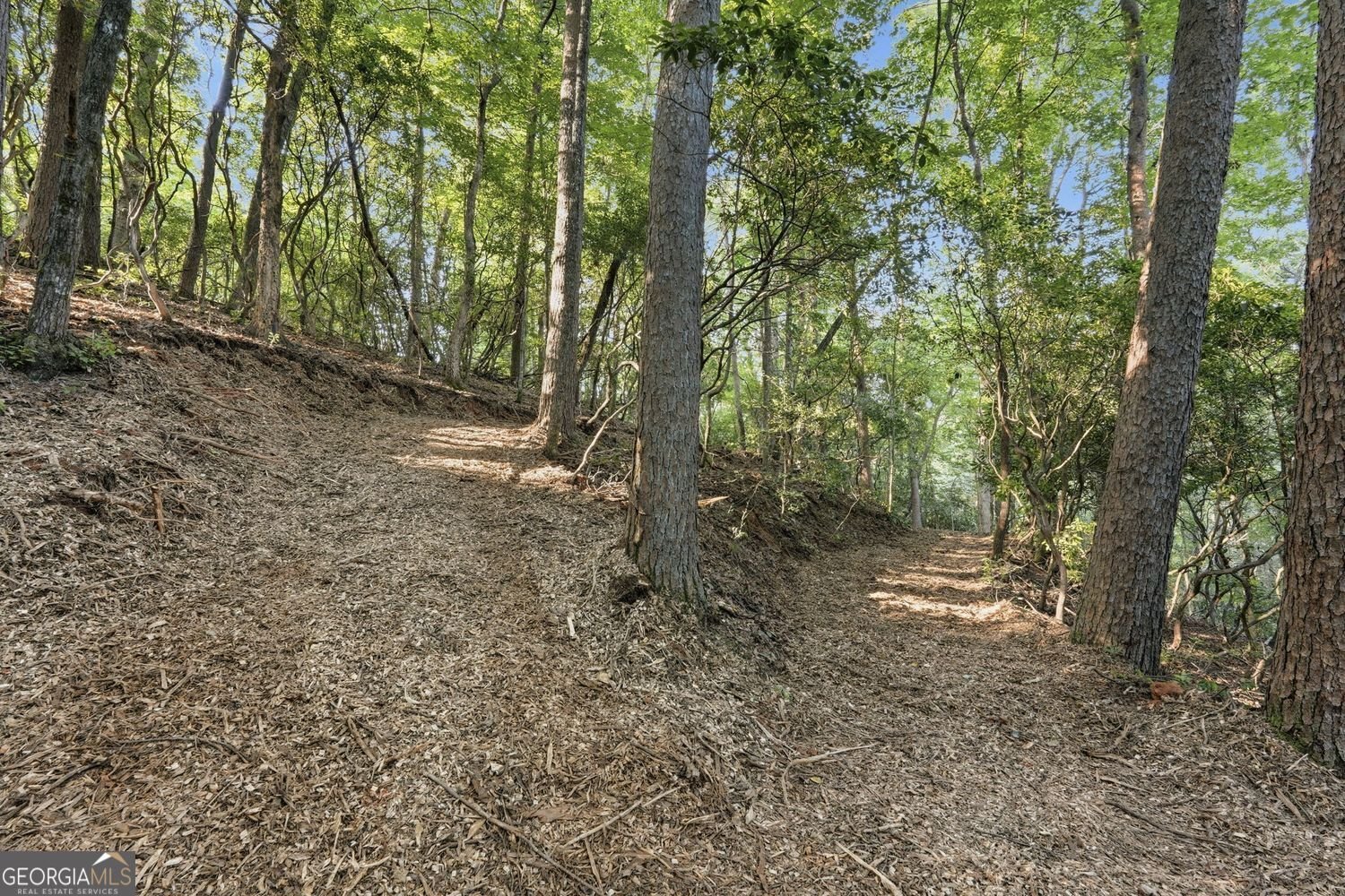 2781 Old Parker Place Road Ellijay - Photo 54