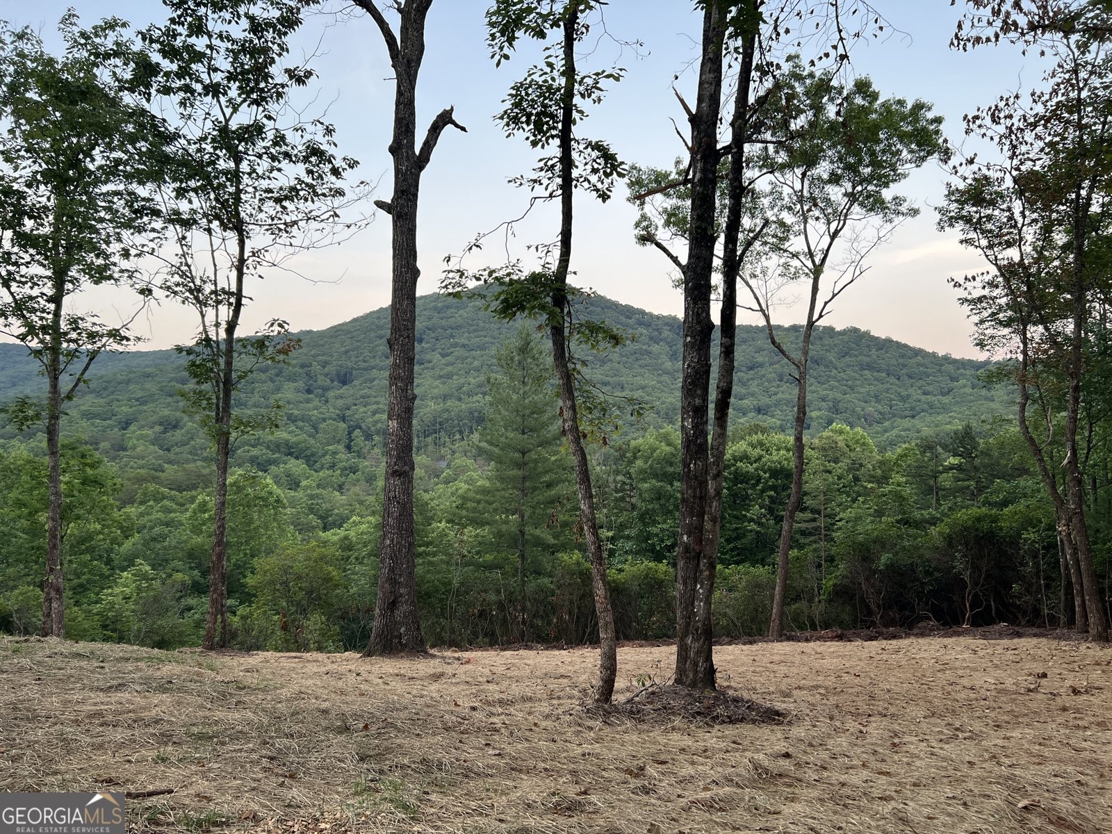 2781 Old Parker Place Road Ellijay - Photo 58
