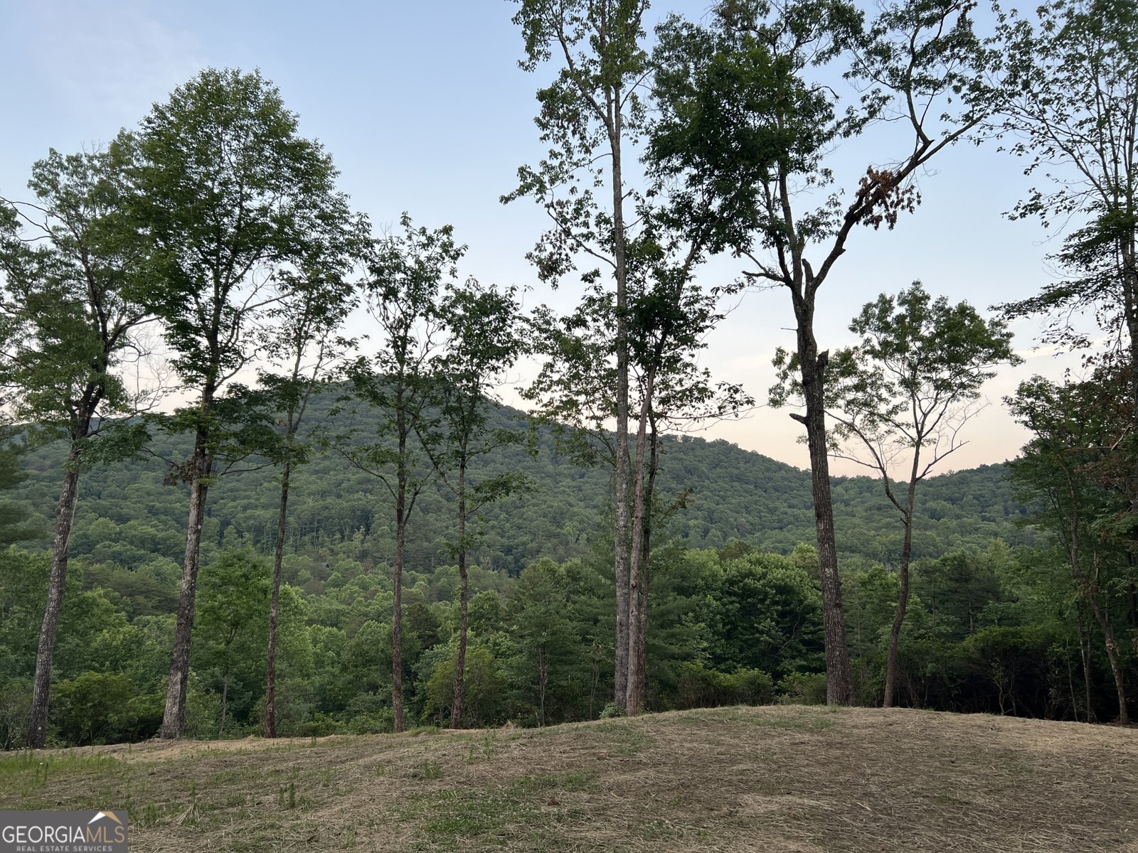 2781 Old Parker Place Road Ellijay - Photo 64