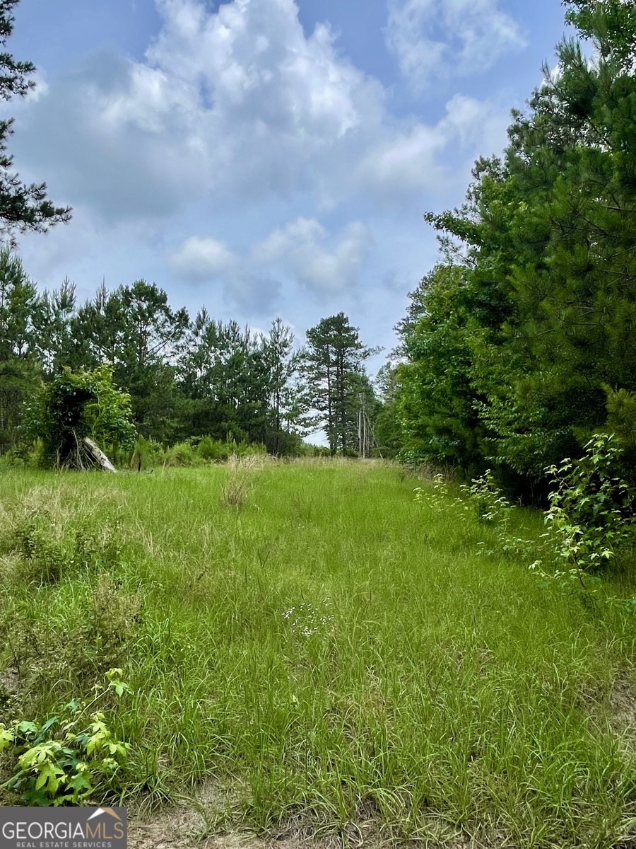 540 Allgood Road Jeffersonville - Photo 21