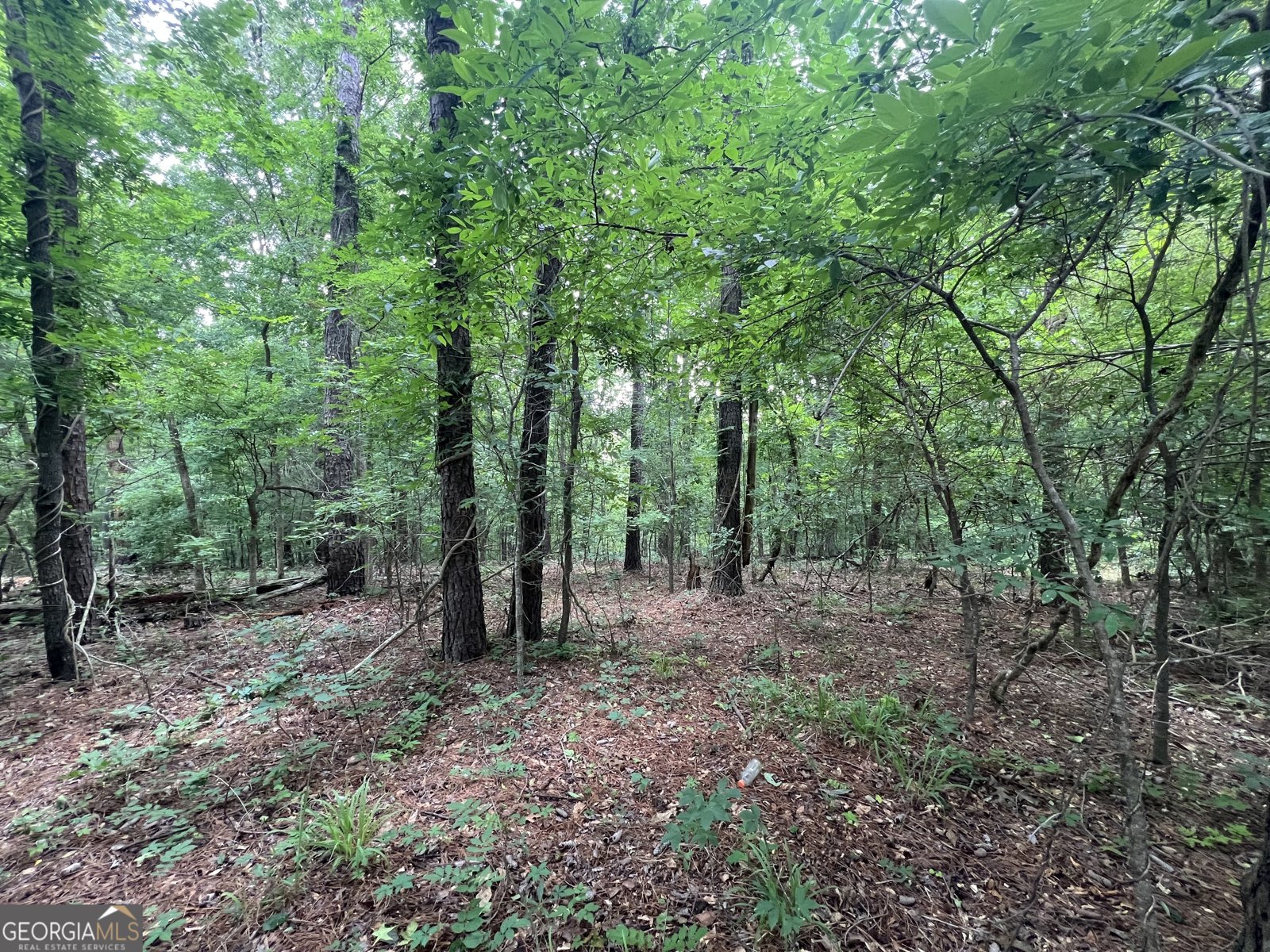 540 Allgood Road Jeffersonville - Photo 22