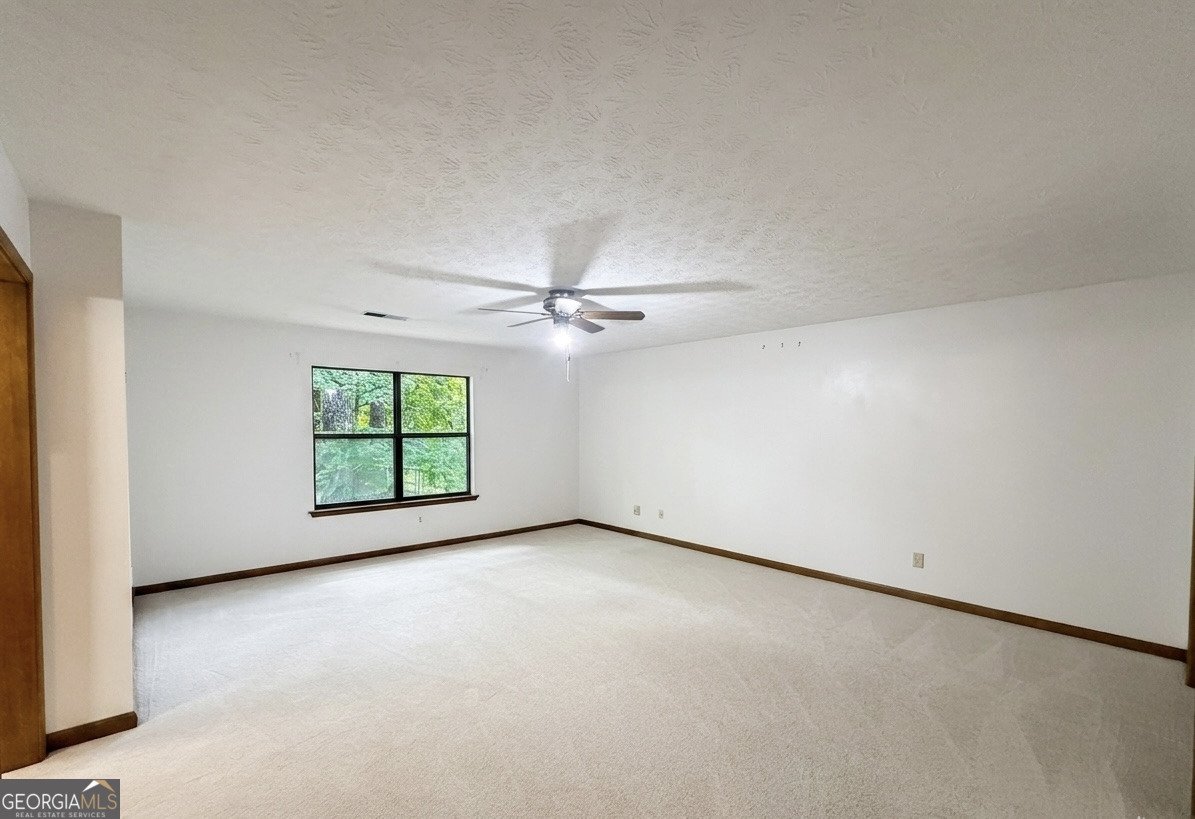 155 Franklin Farms Circle Fayetteville - Photo 29