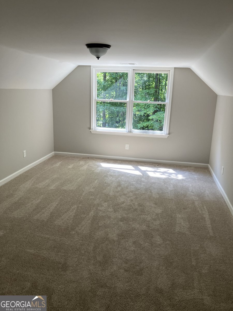 19 ROCKY SHOALS PALMETTO - Photo 10