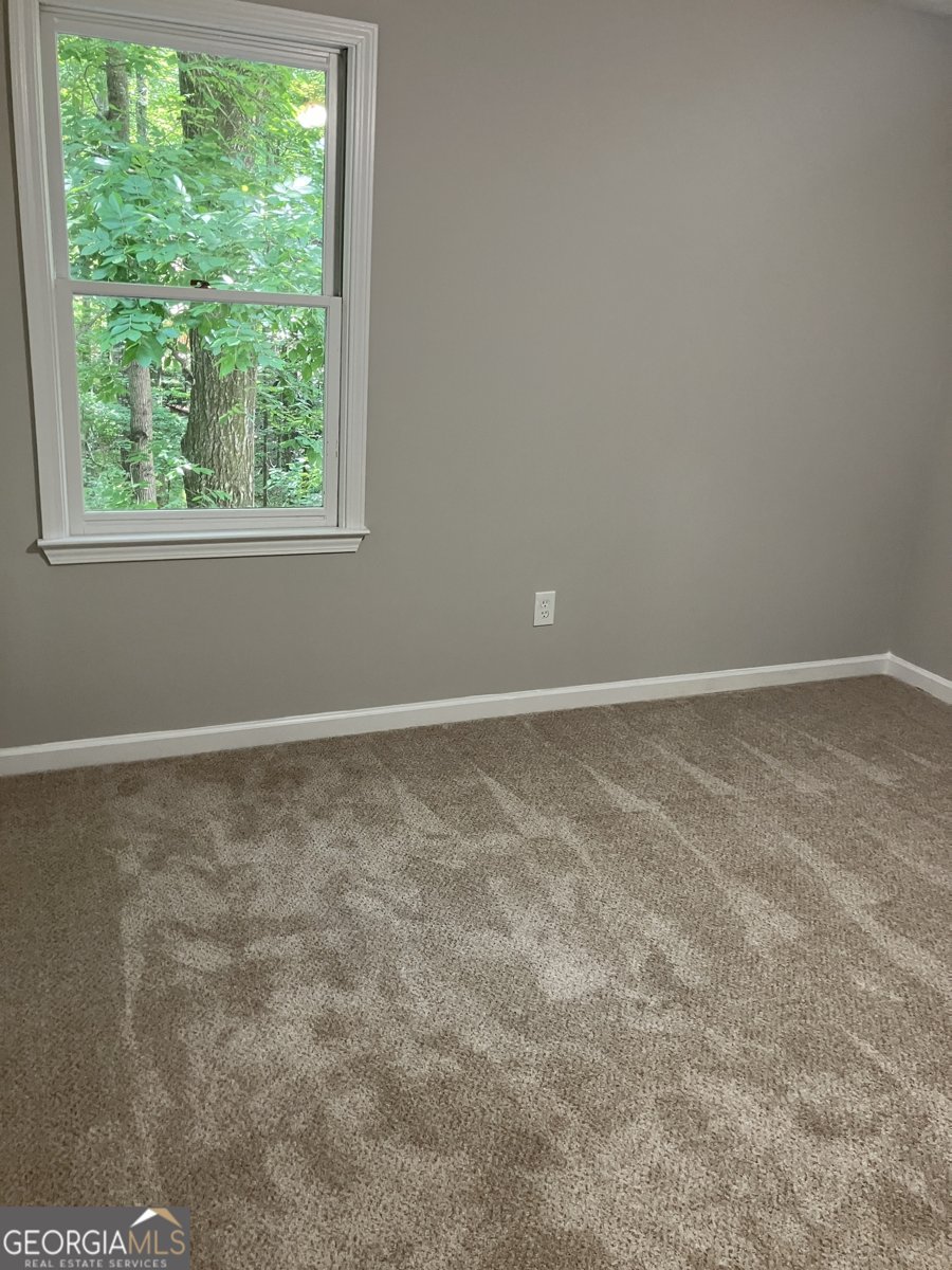 19 ROCKY SHOALS PALMETTO - Photo 25