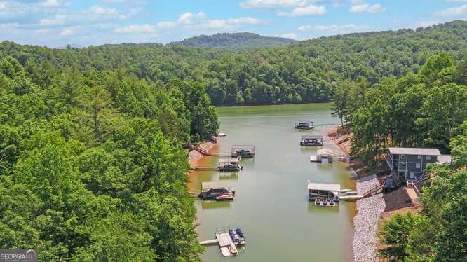 278 Holly Hill Drive Blairsville - Photo 66