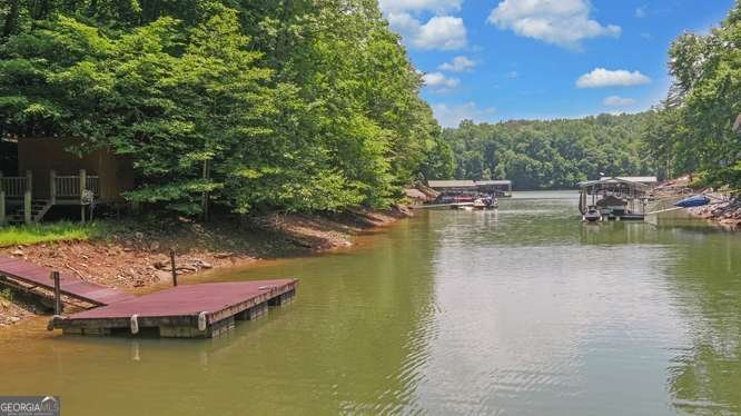 278 Holly Hill Drive Blairsville - Photo 69