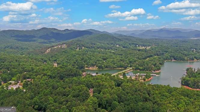 278 Holly Hill Drive Blairsville - Photo 71