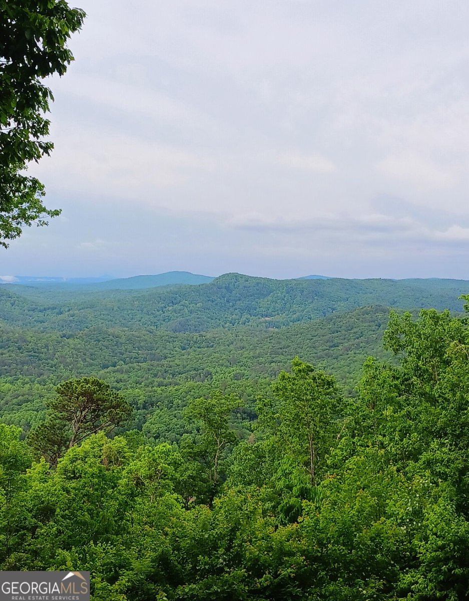 548 Confederate Drive Clayton - Photo 31