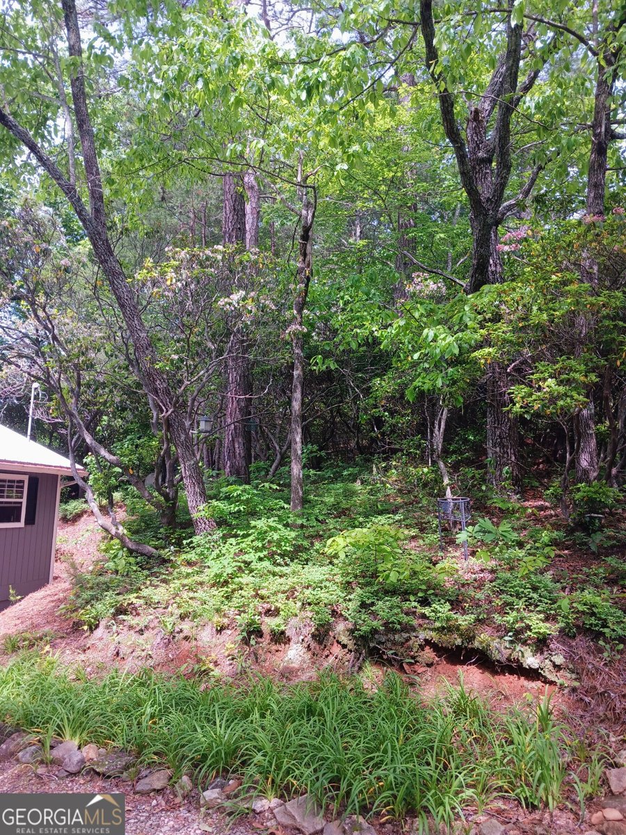 548 Confederate Drive Clayton - Photo 36